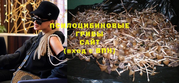 эйфоретик Алексин
