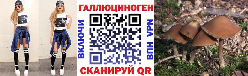 Галлюциногенные грибы GOLDEN TEACHER  что такое наркотик  Железногорск-Илимский 